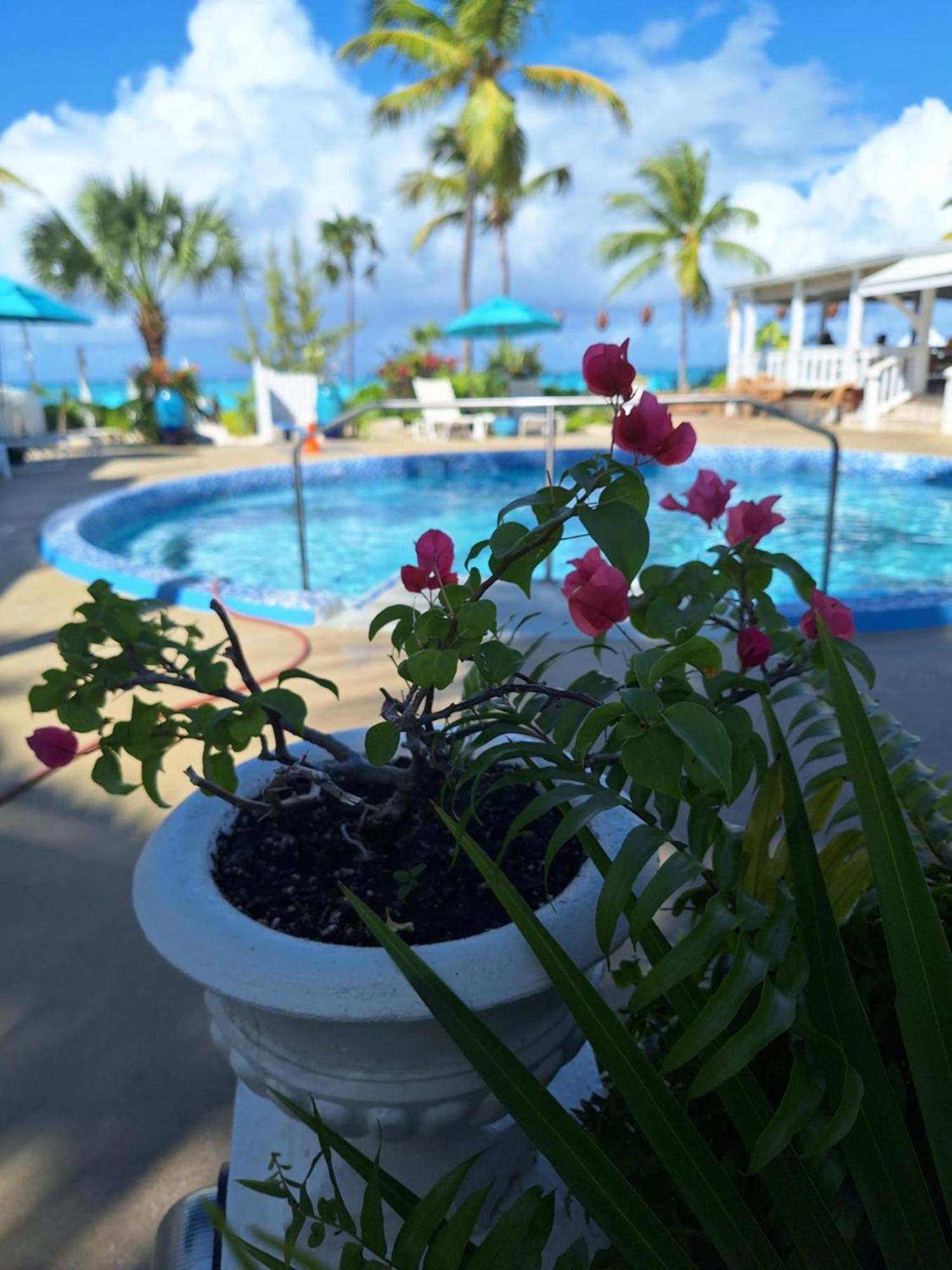 Sibonne Beach Hotel เกรซเบย์ ภายนอก รูปภาพ
