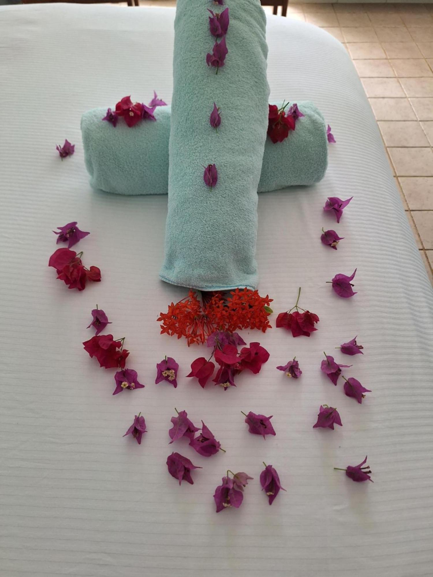 Sibonne Beach Hotel เกรซเบย์ ภายนอก รูปภาพ